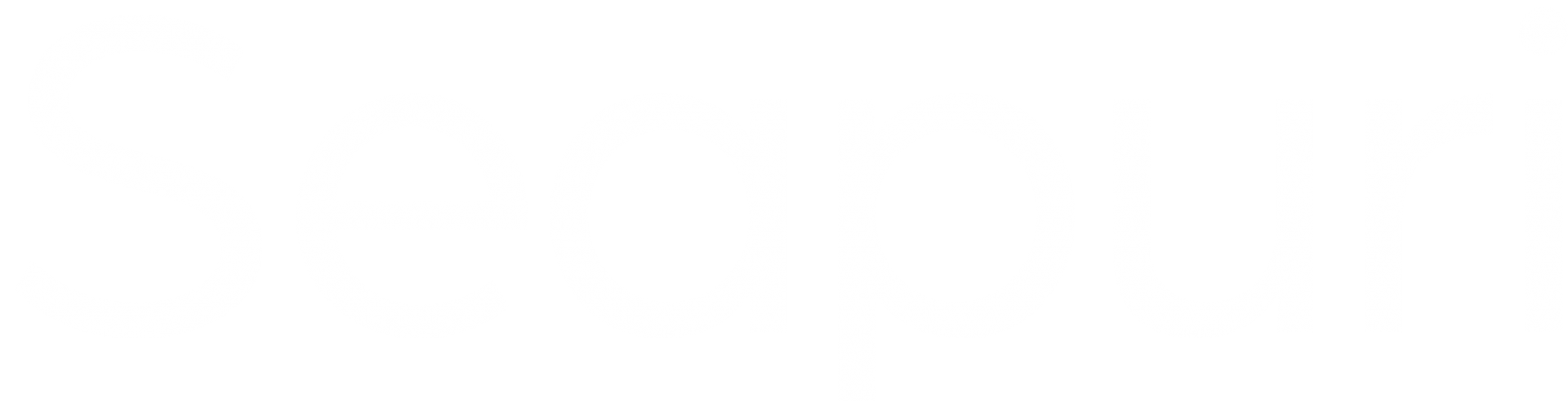 Logo SEAPURI