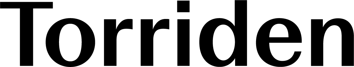 Logo Torriden